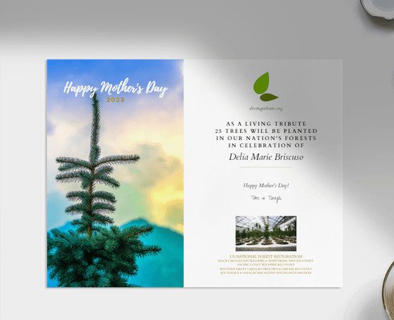 Plant a Tree Mother's Day Card
