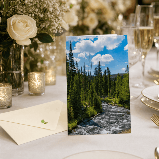Plant-a-Tree Wedding Favors - A Living Tribute