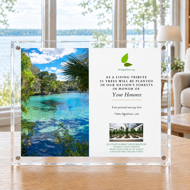 Plant a Tree - Crystal Tribute Tree Planting Gift