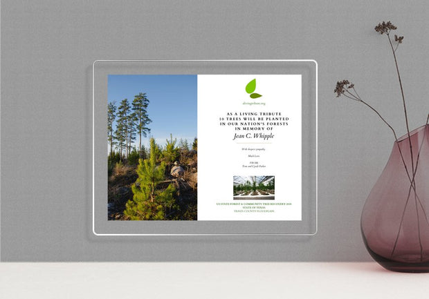 Plant-a-Tree Gift with Deluxe Glass Display Frame