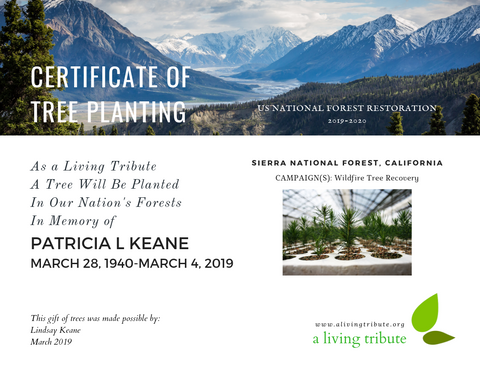 Plant-a-Tree Gift with E-Certificate