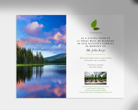 A personalized memorial tree card depicting a scenic view of a forest and a stream, with space for a personal message.