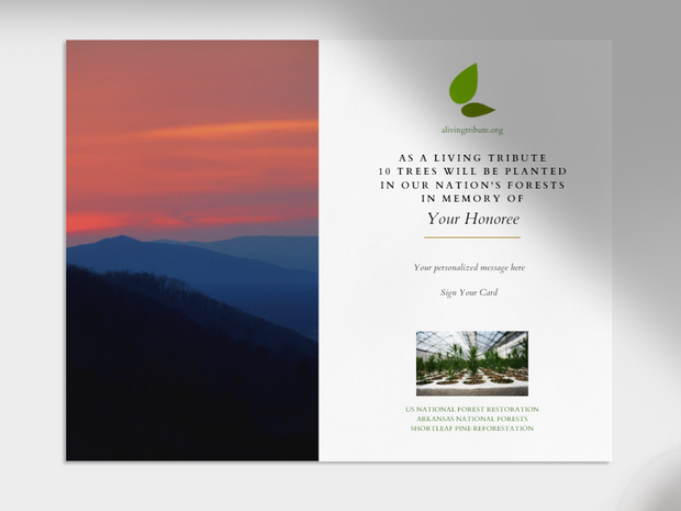 Plant a Tree for Someone in Arkansas - Memorial & Tribute Trees