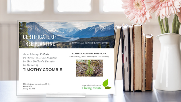 Plant-a-Tree Gift with E-Certificate