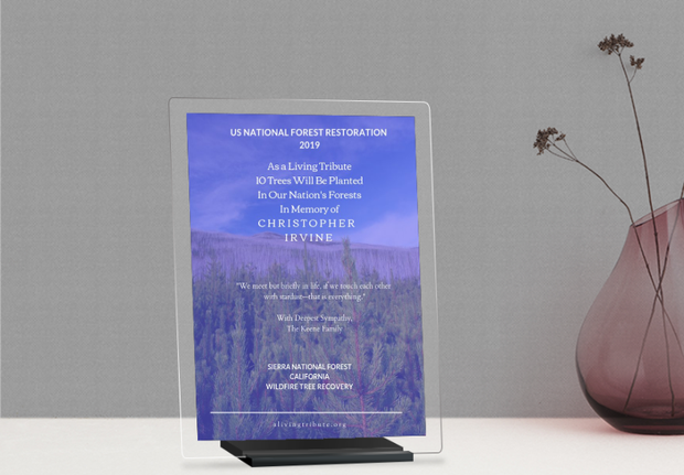 Plant a Tree Gift with Glass Display Frame