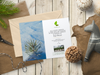 Plant a Tree in a US National Forest with Mailed Holiday Card