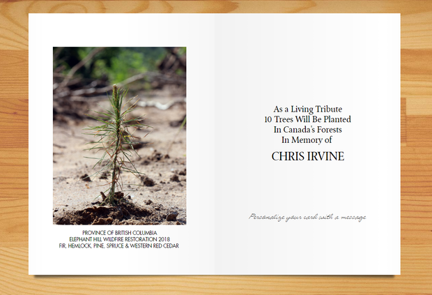 Plant a Tree in Canada with Mailed Commemorative Card