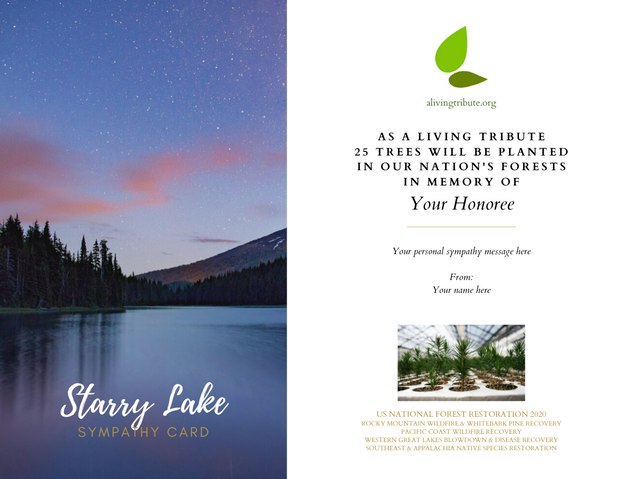 Tree Planting in a US National Forest with Mailed Sympathy Greeting Card