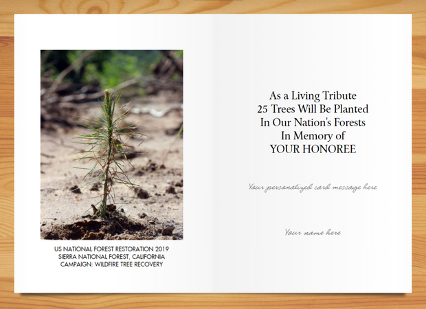 Tree Planting in a US National Forest with Mailed Sympathy Greeting Card