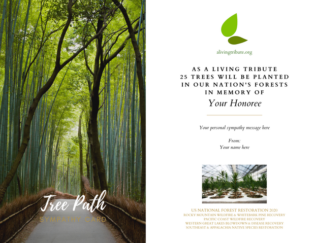 Tree Planting in a US National Forest with Mailed Sympathy Greeting Card